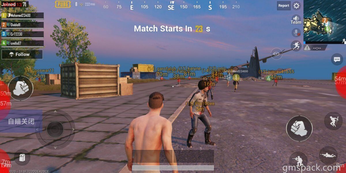 和平精英大鸡腿辅助